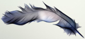 Obiectul invitatiei "Mai du-te-n pana mea!!!"